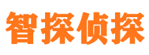 二道市调查公司